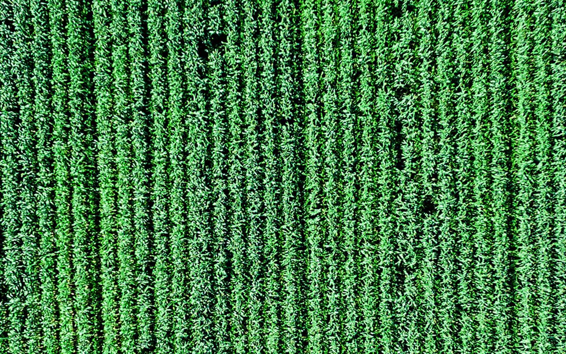 https://northerndroneservices.co.uk/wp-content/uploads/2017/12/home_inner_07.jpg