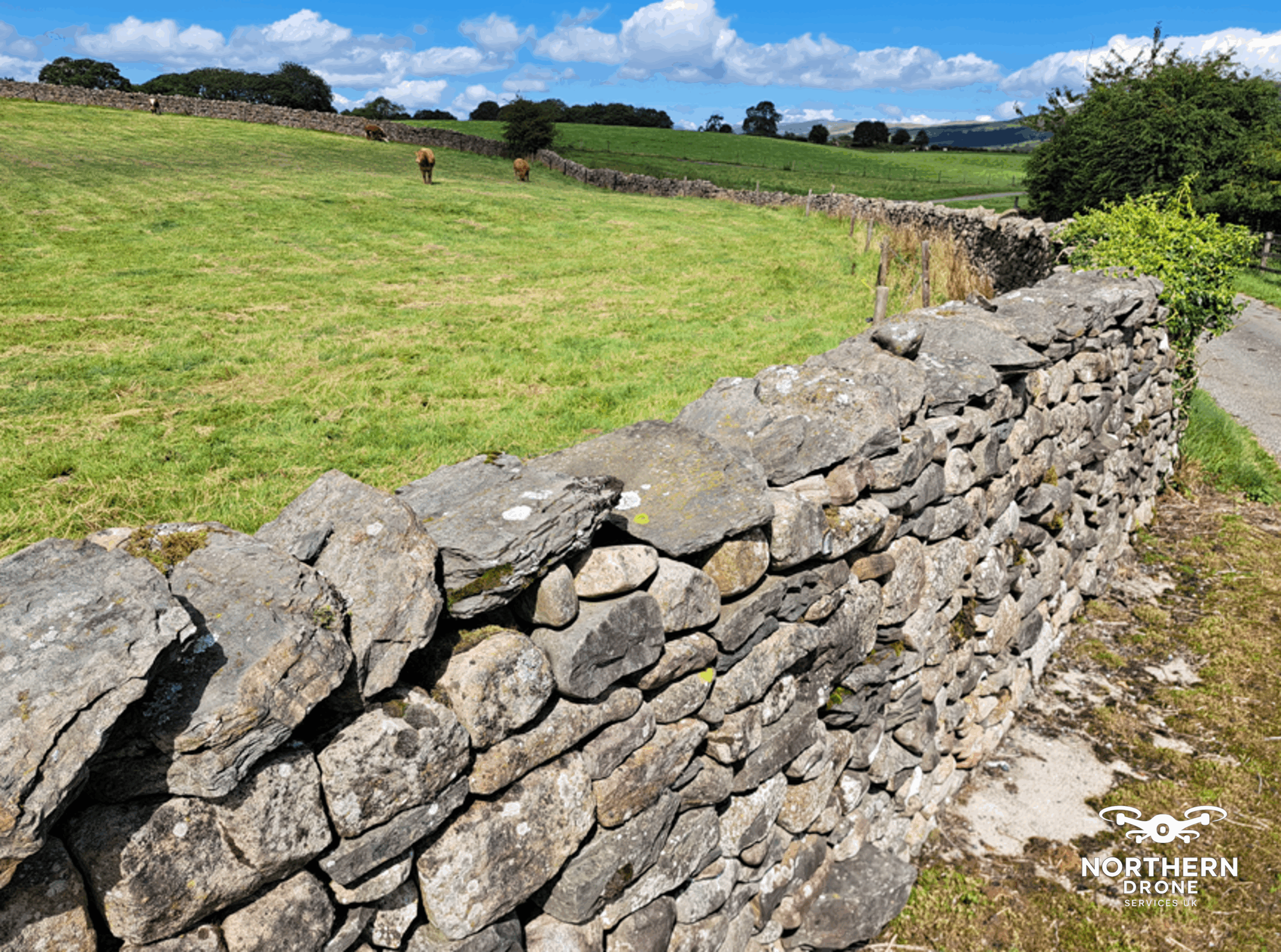 wall5
